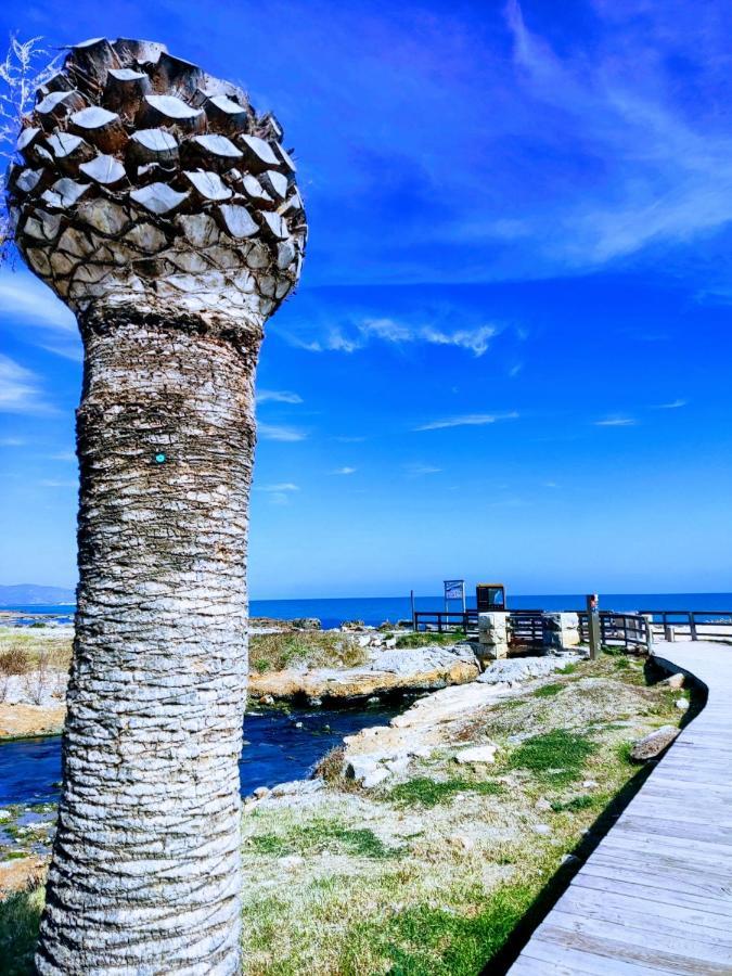 Apartamento Acogedor En Cabanes, Torre La Sal, Costamar I Marina D'Or Venta de San Antonio-Estacion Εξωτερικό φωτογραφία
